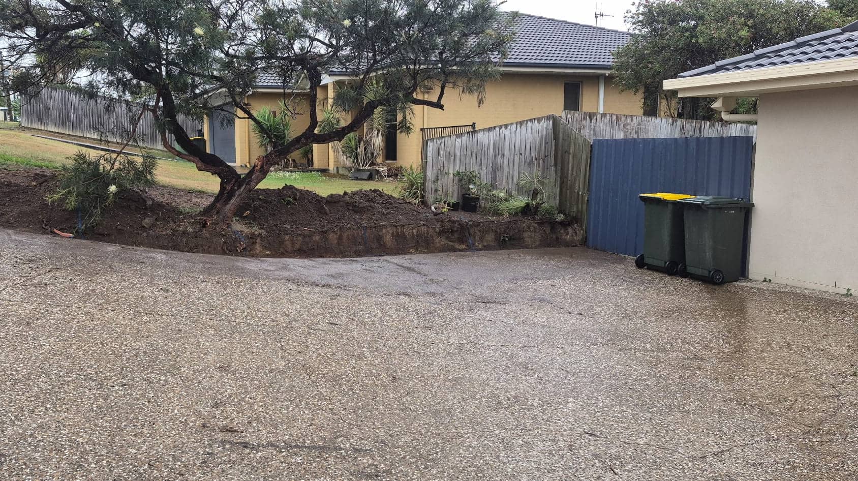 The garden bed around the tree dug out along the driveway, ready for the new wall